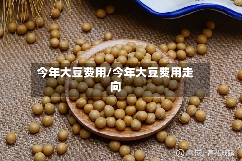 今年大豆费用/今年大豆费用走向