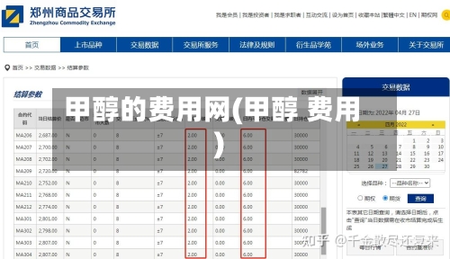 甲醇的费用网(甲醇 费用)