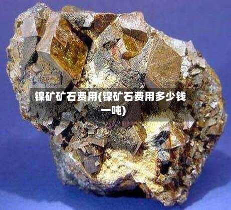 镍矿矿石费用(镍矿石费用多少钱一吨)