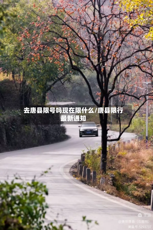 去唐县限号吗现在限什么/唐县限行最新通知