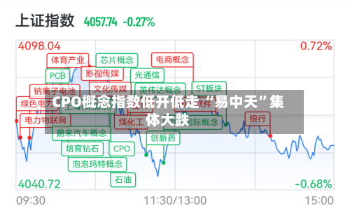 CPO概念指数低开低走 “易中天”集体大跌