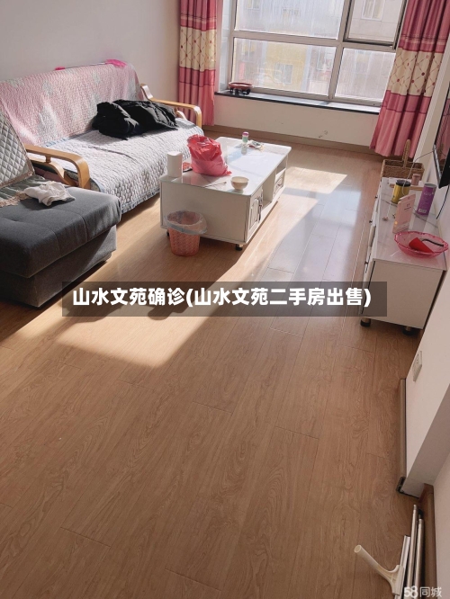 山水文苑确诊(山水文苑二手房出售)-第2张图片