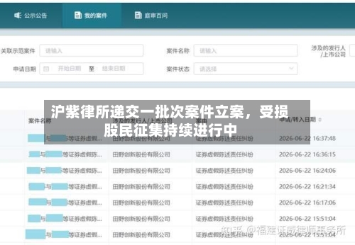 沪紫律所递交一批次案件立案，受损股民征集持续进行中-第3张图片