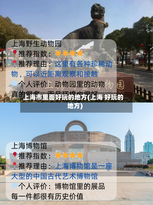 上海市里面好玩的地方(上海 好玩的地方)