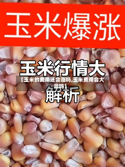 【玉米的费用还会涨吗,玉米费用会大涨吗】