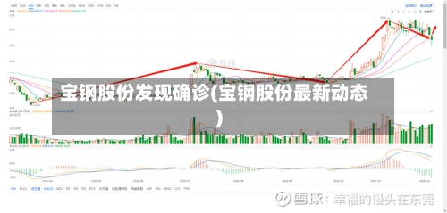 宝钢股份发现确诊(宝钢股份最新动态)-第2张图片