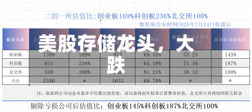 美股存储龙头	，大跌-第3张图片