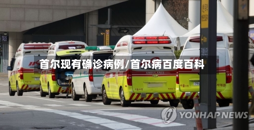 首尔现有确诊病例/首尔病百度百科-第3张图片