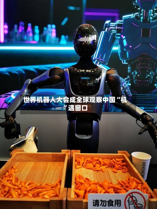 世界机器人大会成全球观察中国“机”遇窗口