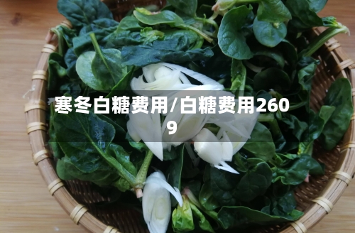 寒冬白糖费用/白糖费用2609