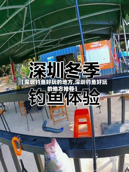【深圳钓鱼好玩的地方,深圳钓鱼好玩的地方推荐】