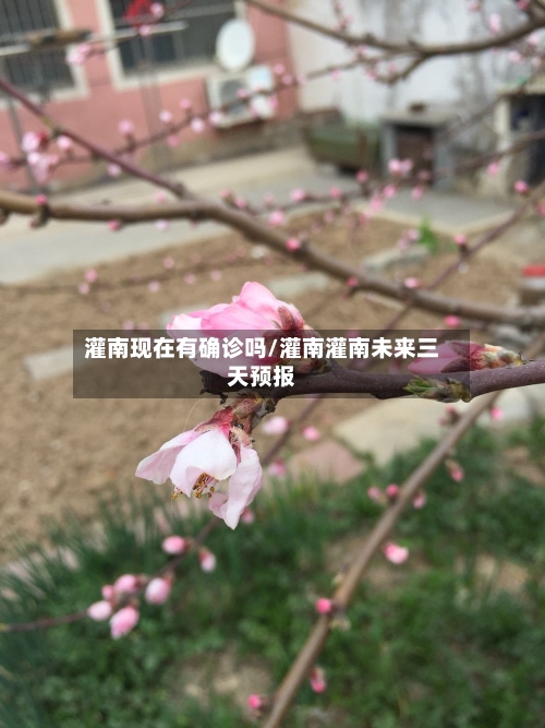 灌南现在有确诊吗/灌南灌南未来三天预报-第2张图片