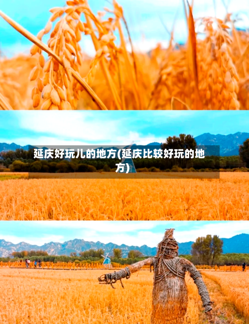 延庆好玩儿的地方(延庆比较好玩的地方)