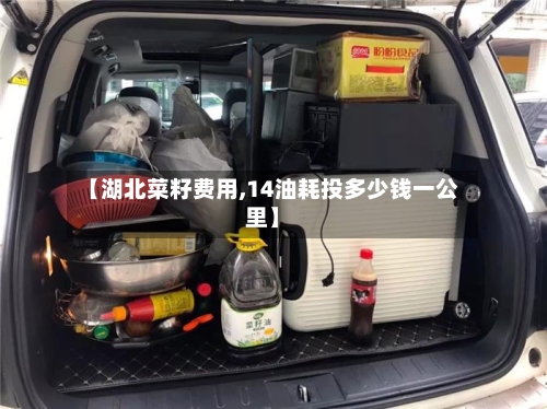 【湖北菜籽费用,14油耗投多少钱一公里】-第2张图片