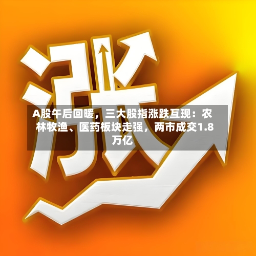 A股午后回暖，三大股指涨跌互现：农林牧渔、医药板块走强，两市成交1.8万亿