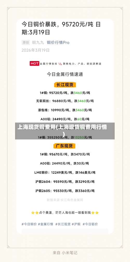 上海现货铜费用(上海现货铜费用行情)-第2张图片
