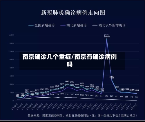 南京确诊几个重症/南京有确诊病例吗-第3张图片