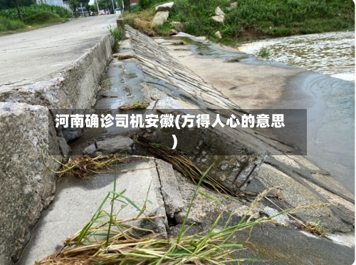河南确诊司机安徽(方得人心的意思)