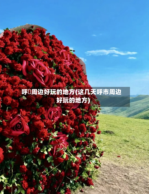 呼巿周边好玩的地方(这几天呼市周边好玩的地方)