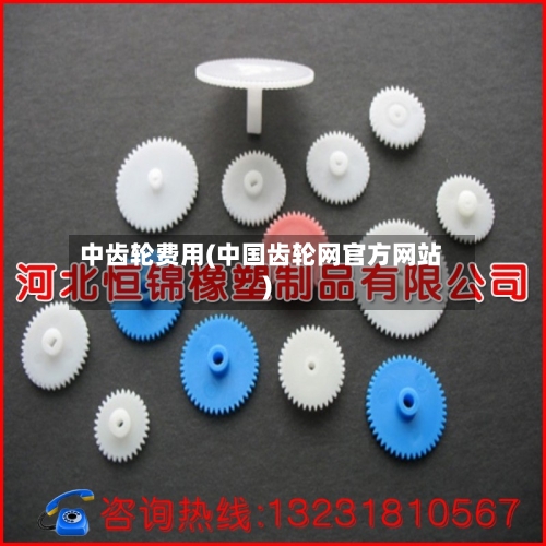 中齿轮费用(中国齿轮网官方网站)