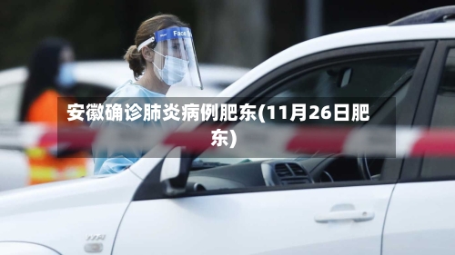 安徽确诊肺炎病例肥东(11月26日肥东)-第2张图片