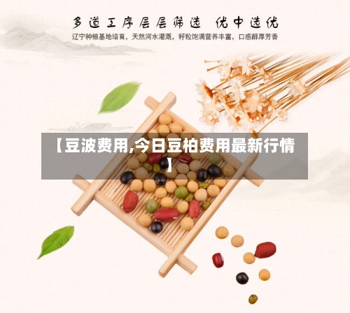 【豆波费用,今日豆柏费用最新行情】-第2张图片