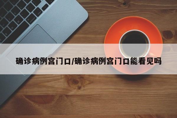 确诊病例宫门口/确诊病例宫门口能看见吗