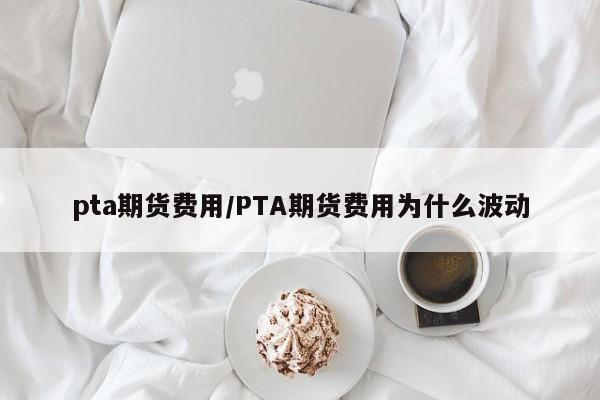 pta期货费用/PTA期货费用为什么波动