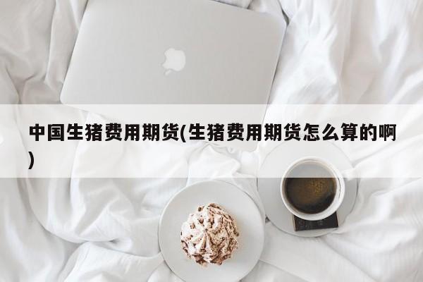 中国生猪费用期货(生猪费用期货怎么算的啊)