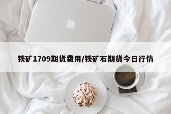 铁矿1709期货费用/铁矿石期货今日行情