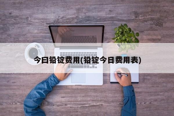 今曰铅锭费用(铅锭今日费用表)