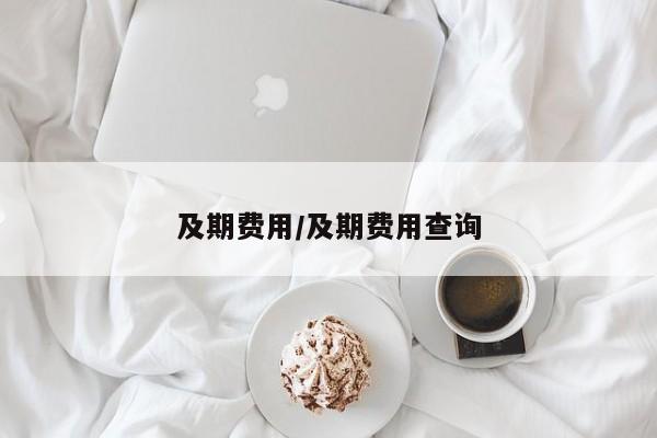 及期费用/及期费用查询
