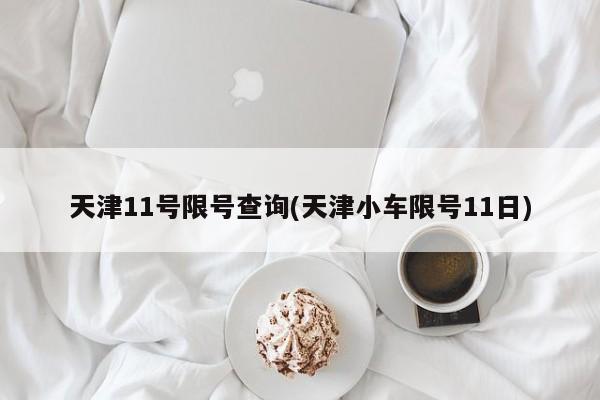 天津11号限号查询(天津小车限号11日)