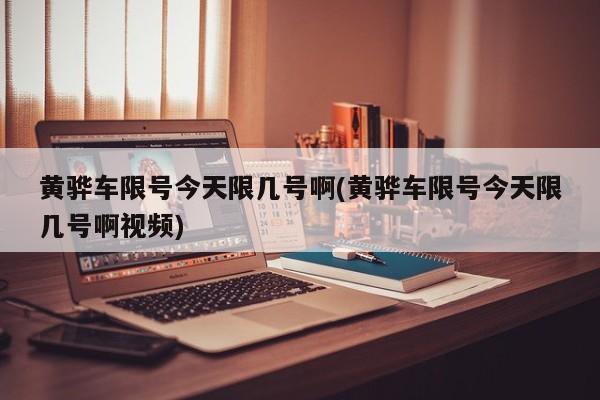 黄骅车限号今天限几号啊(黄骅车限号今天限几号啊视频)