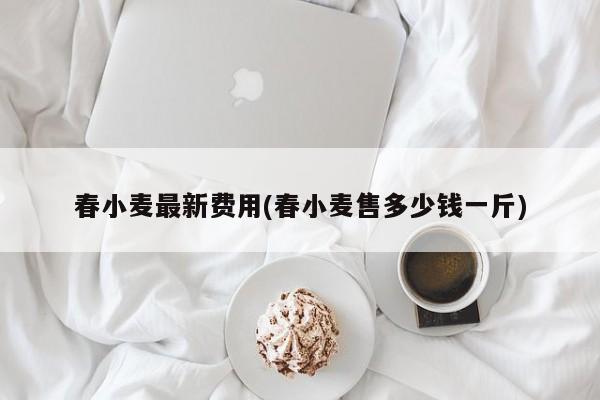 春小麦最新费用(春小麦售多少钱一斤)
