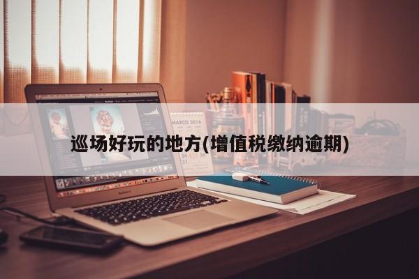 巡场好玩的地方(增值税缴纳逾期)
