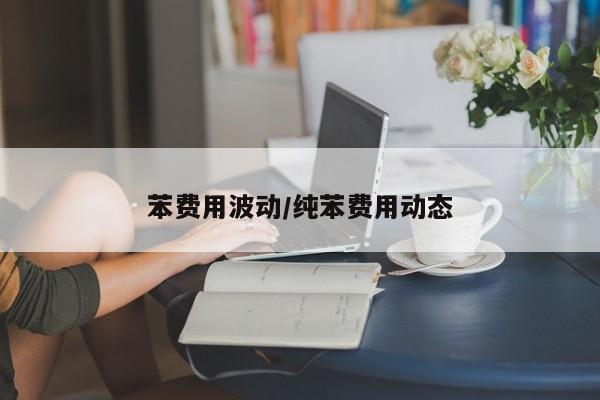 苯费用波动/纯苯费用动态